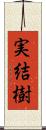 実結樹 Scroll
