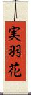 実羽花 Scroll