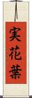 実花葉 Scroll