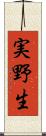 実野生 Scroll