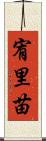 宥里苗 Scroll