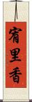 宥里香 Scroll