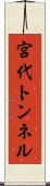 宮代トンネル Scroll