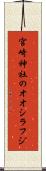 宮崎神社のオオシラフジ Scroll