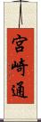 宮崎通 Scroll