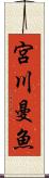 宮川曼魚 Scroll