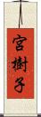 宮樹子 Scroll