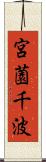 宮薗千波 Scroll
