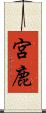宮鹿 Scroll