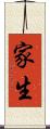 家生 Scroll
