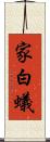 家白蟻 Scroll