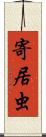 寄居虫 Scroll