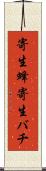 寄生蜂 Scroll