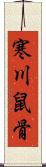 寒川鼠骨 Scroll