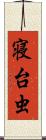 寝台虫 Scroll