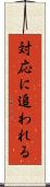 対応に追われる Scroll
