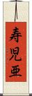 寿児亜 Scroll