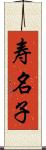 寿名子 Scroll