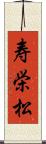 寿栄松 Scroll