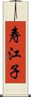 寿江子 Scroll