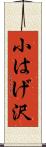 小はげ沢 Scroll