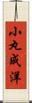 小丸成洋 Scroll