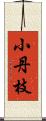 小丹枝 Scroll