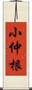 小仲根 Scroll