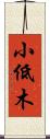小低木 Scroll
