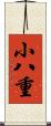 小八重 Scroll