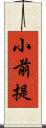 小前提 Scroll