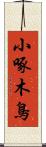 小啄木鳥 Scroll