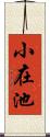 小在池 Scroll