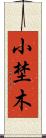 小埜木 Scroll