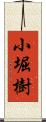 小堀樹 Scroll