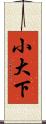 小大下 Scroll