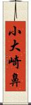 小大崎鼻 Scroll