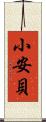 小安貝 Scroll