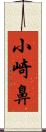 小崎鼻 Scroll