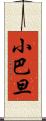 小巴旦 Scroll