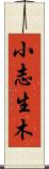 小志生木 Scroll