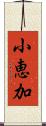 小恵加 Scroll