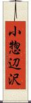 小惣辺沢 Scroll