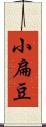 小扁豆 Scroll