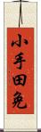 小手田免 Scroll
