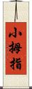 小拇指 Scroll