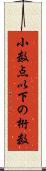 小数点以下の桁数 Scroll