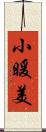 小暖美 Scroll