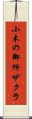 小木の御所ザクラ Scroll