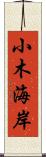 小木海岸 Scroll